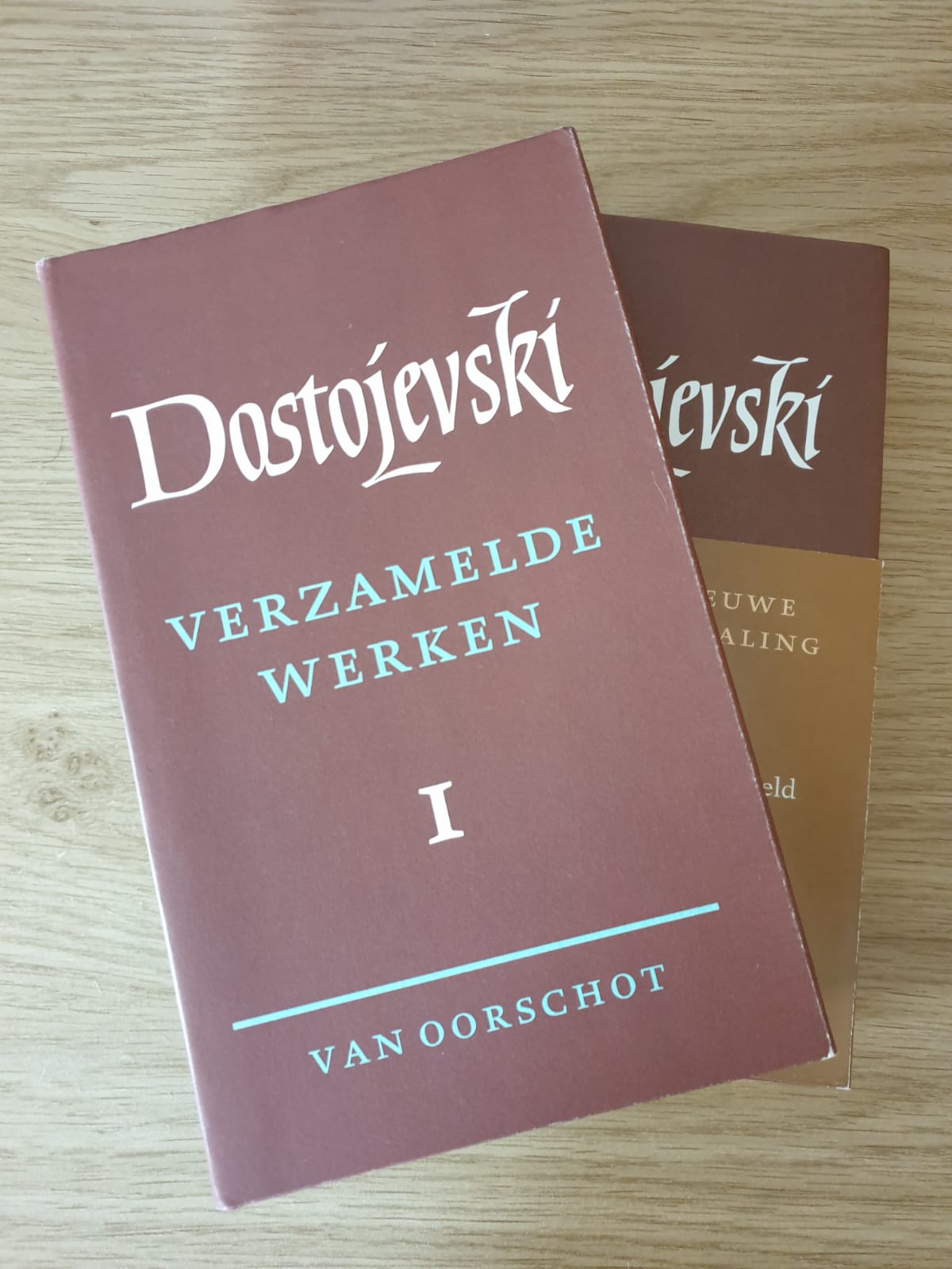 De waarde van Dostojevski voor rechtenstudenten