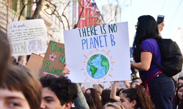 Keeping the fight against climate change student-budget-friendly