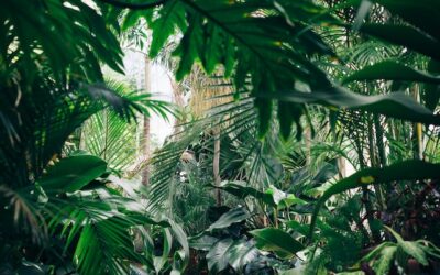 Without rights to achieve the dream: Darien.