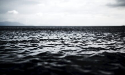 The already established maritime delineations in the Black Sea