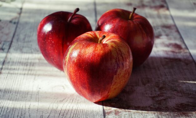 A comparative analysis of EC-Hormones I and Japan-Apples
