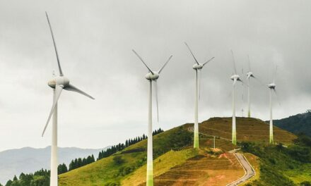 Reconciling Environmental Policies with National Treatment Commitments under the GATT